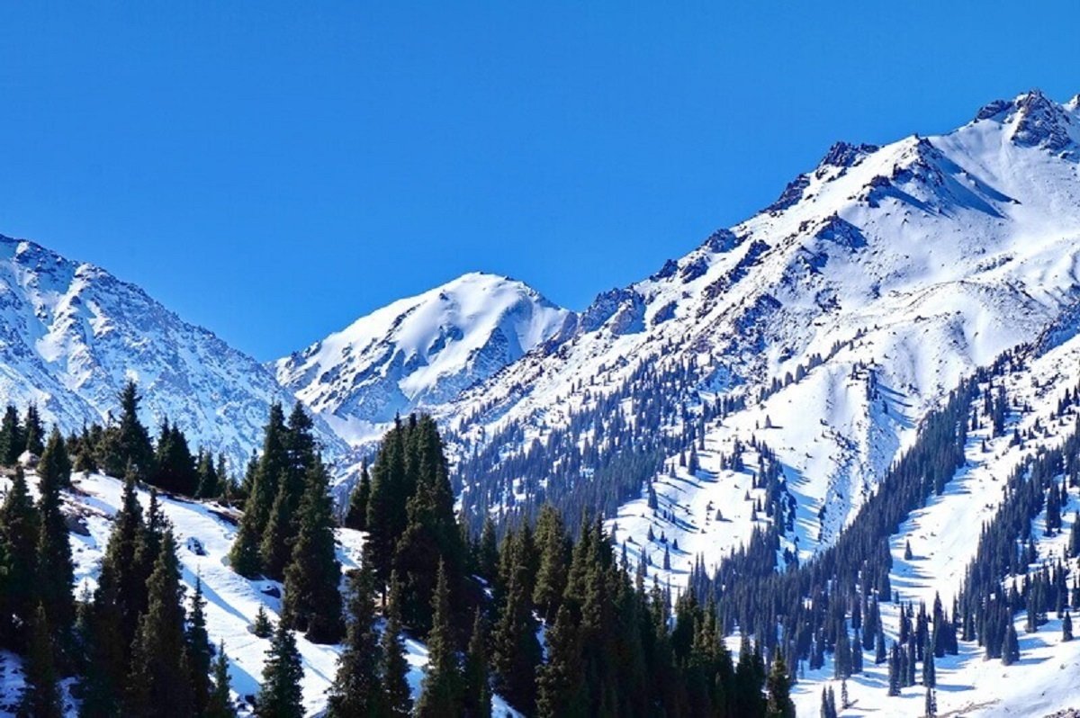 Пятеро подростков потерялись в горах Алматы