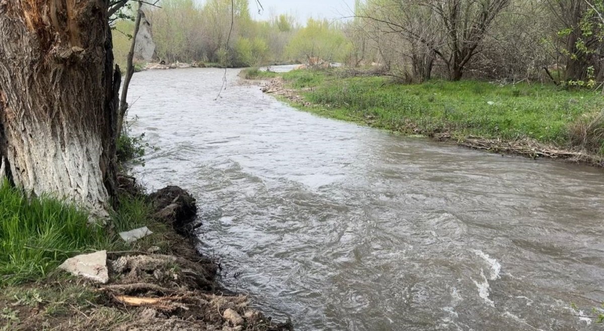 Тело пропавшего ребёнка нашли спустя несколько дней в Туркестанской области