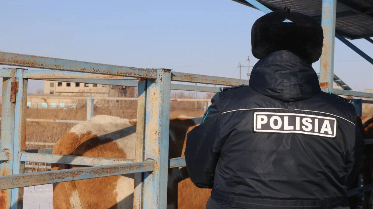 Деятельность группы скотокрадов пресечена в Туркестанской области