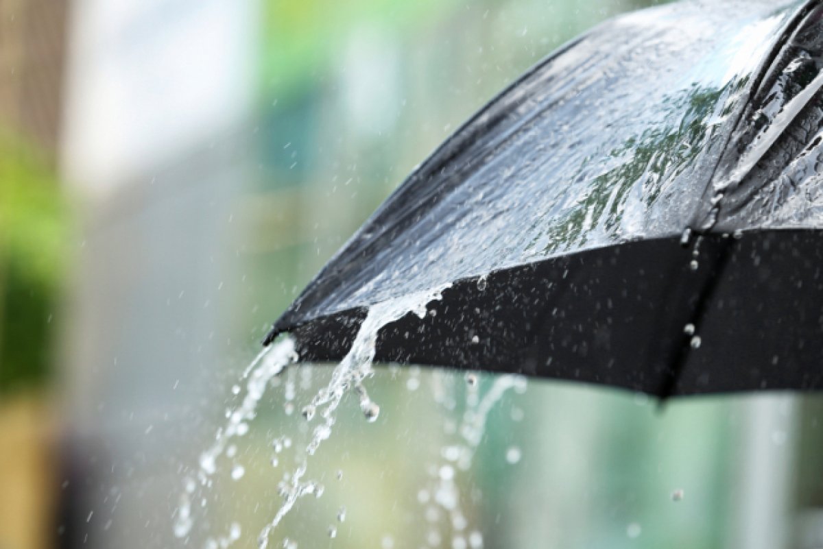 Казахстан накроет погодный хаос: снег, грозы и резкое потепление уже 10 апреля