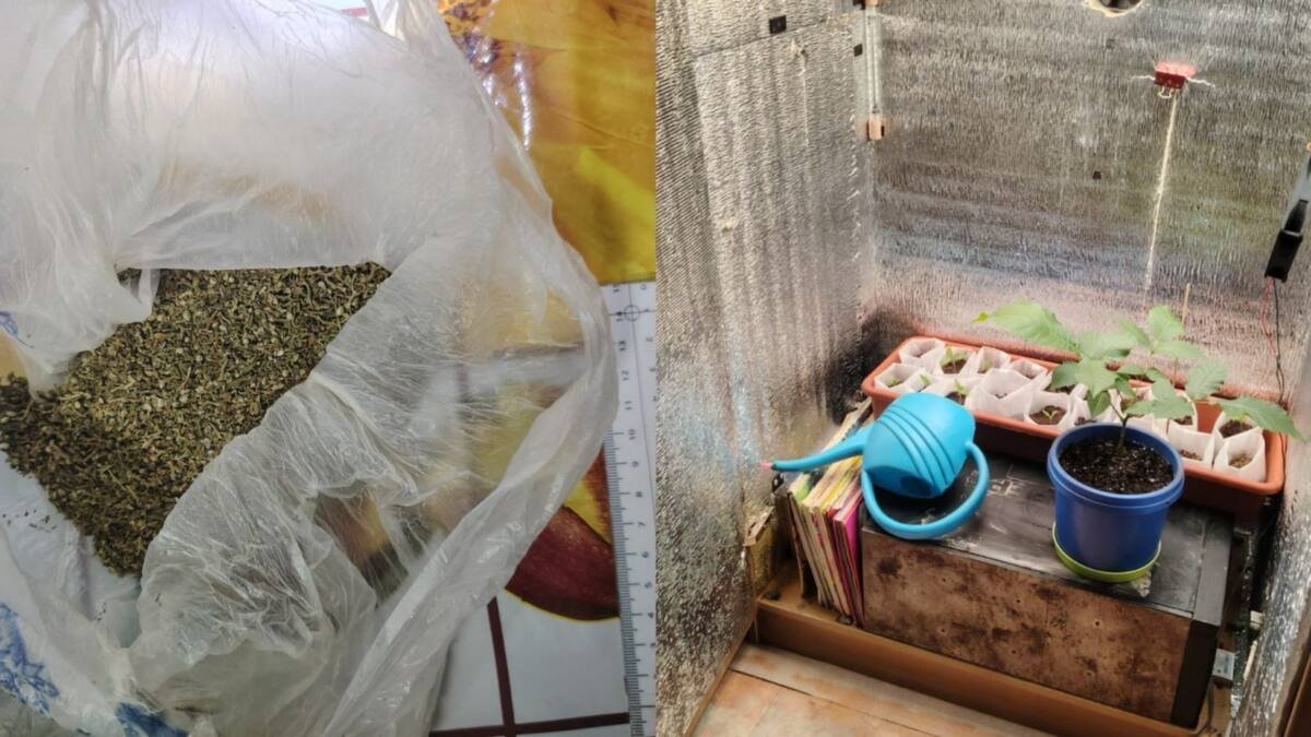 Самодельная фитолаборатория ликвидирована в Акмолинской области