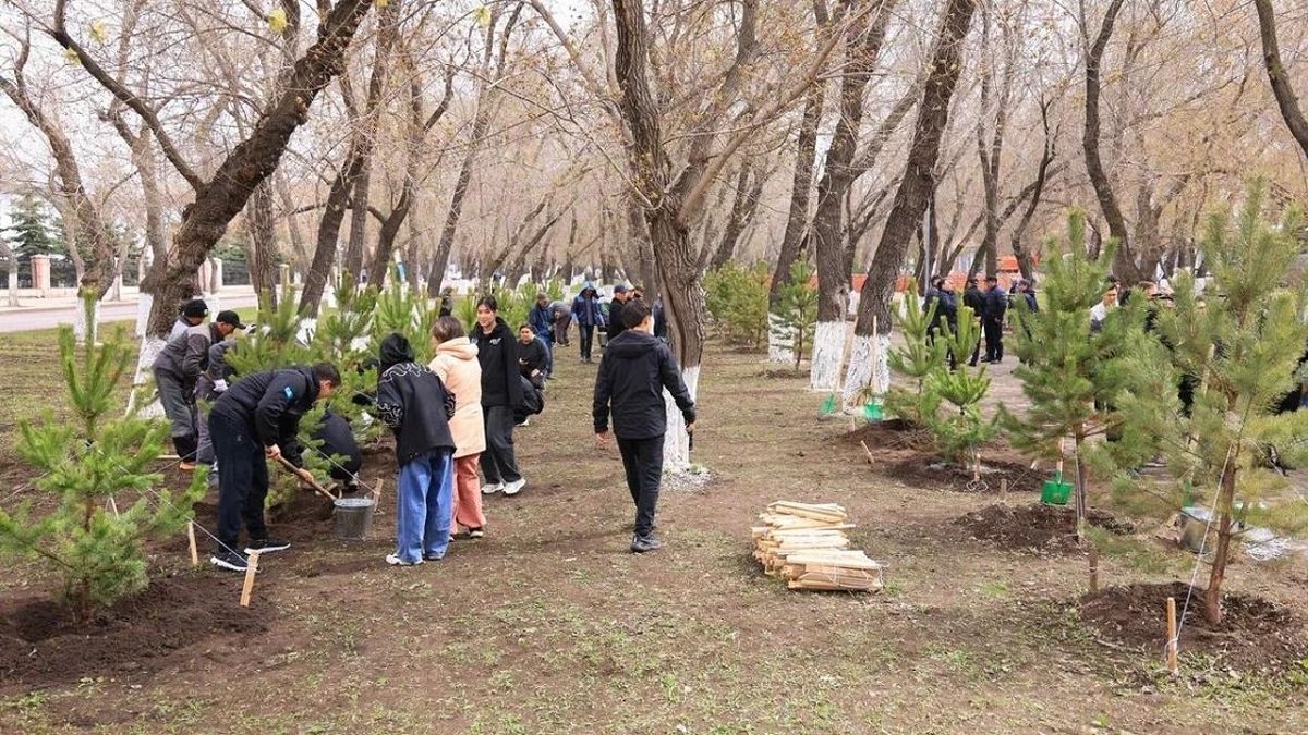 «Таза Қазақстан»: В Караганде за день посадили 400 деревьев