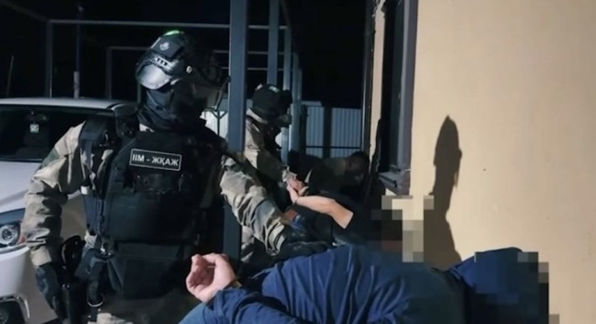 Ветеринары в сговоре: в ЗКО раскрыли ОПГ, легализовавшую краденый скот через базы данных