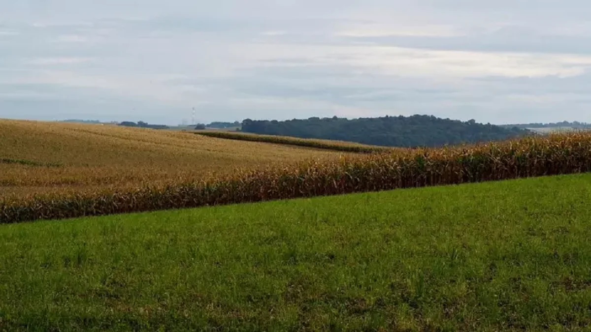 1,7 млрд на «ничего»: прокуратура вскрыла сомнительный проект в Шымкенте