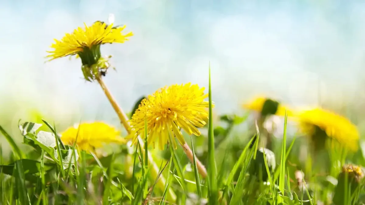 Казахстан ждет погодный шок: от морозов к жаре +28°C всего за три дня