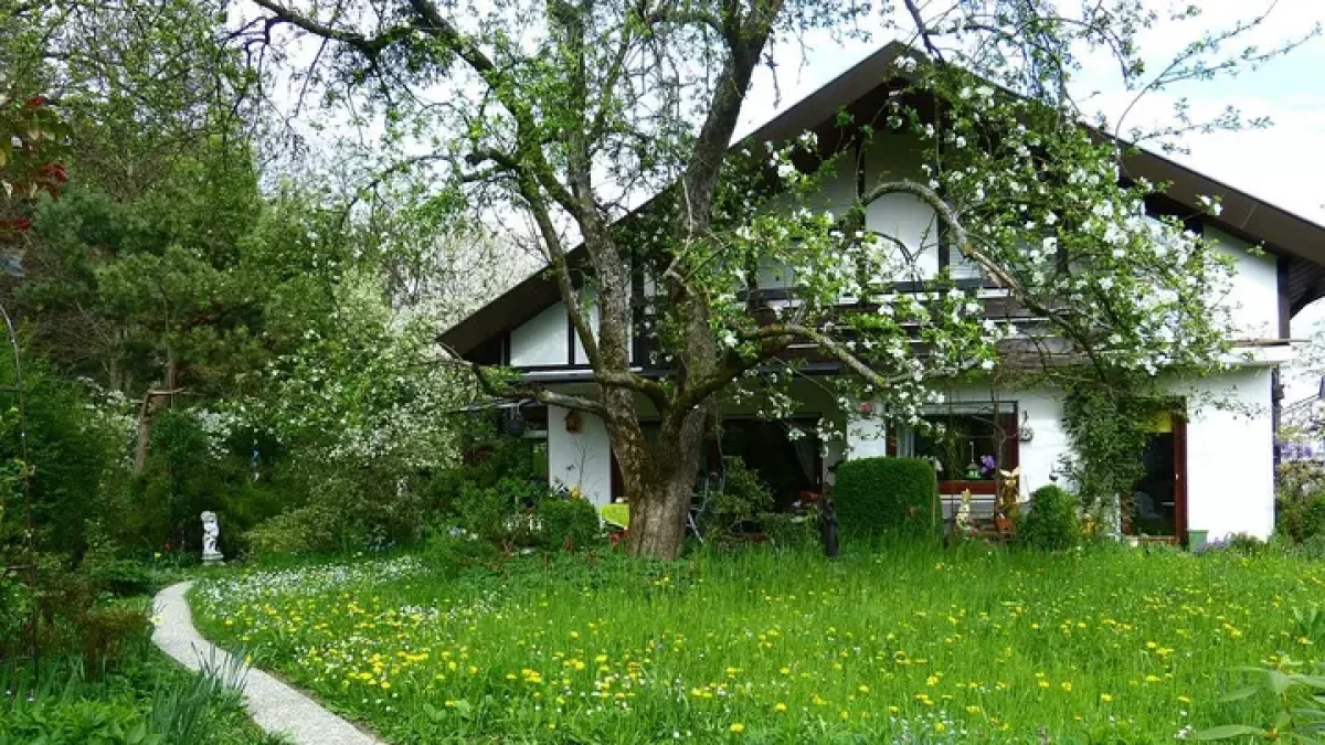 Где купить земельный участок в Алматы: что важно знать в 2026 году