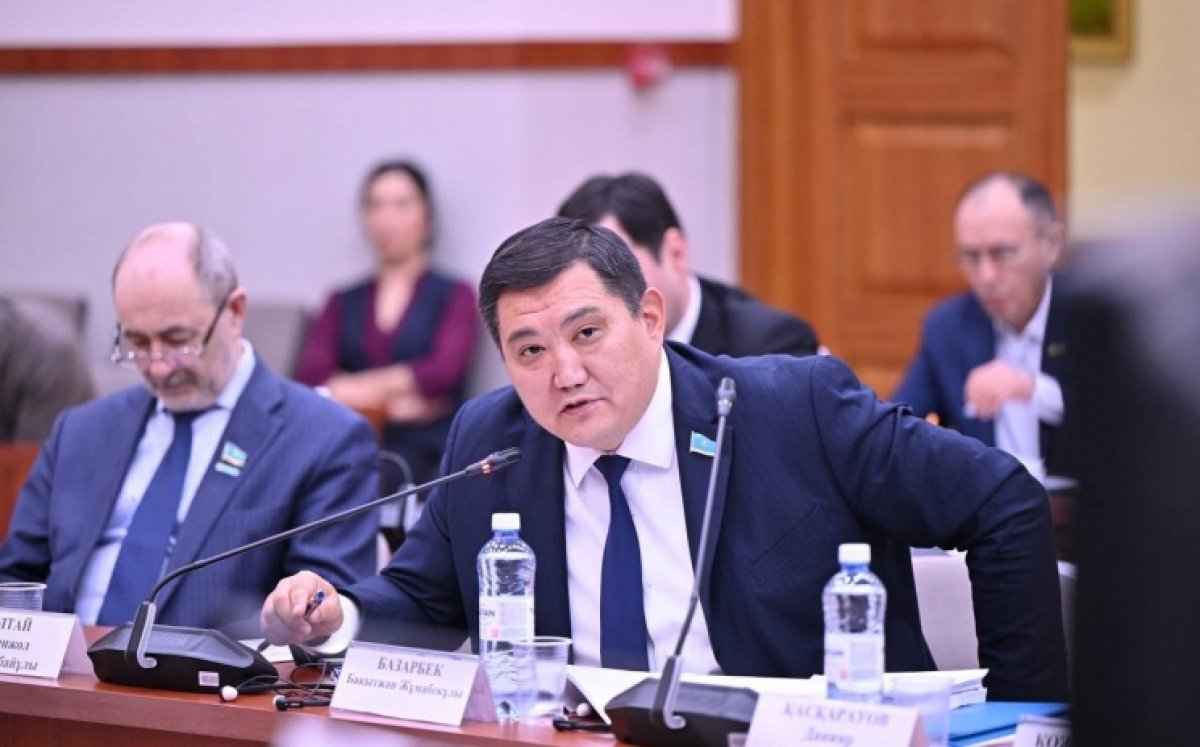 «Кого мы готовим?» В Мажилисе жестко раскритиковали «Болашак»