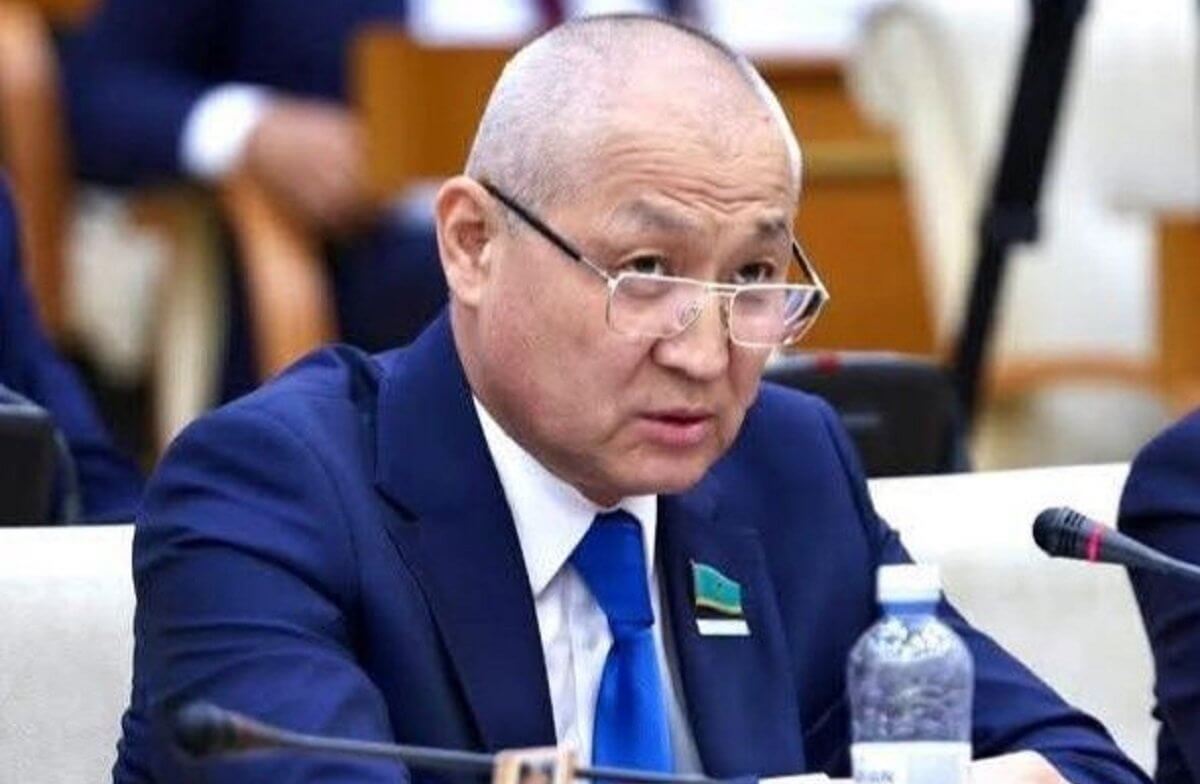«Дипломатия не для бродячих собак»: Сенат вернул закон об обращении с животными
