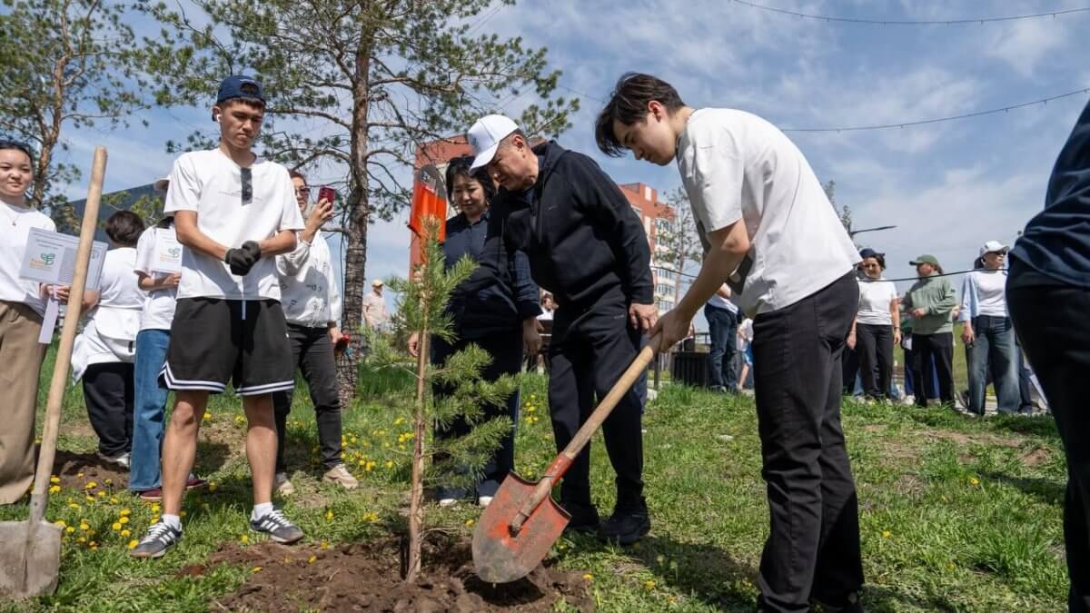 Почти 2,5 тысячи саженцев: 11-классники оставили свой след в областном центре ВКО