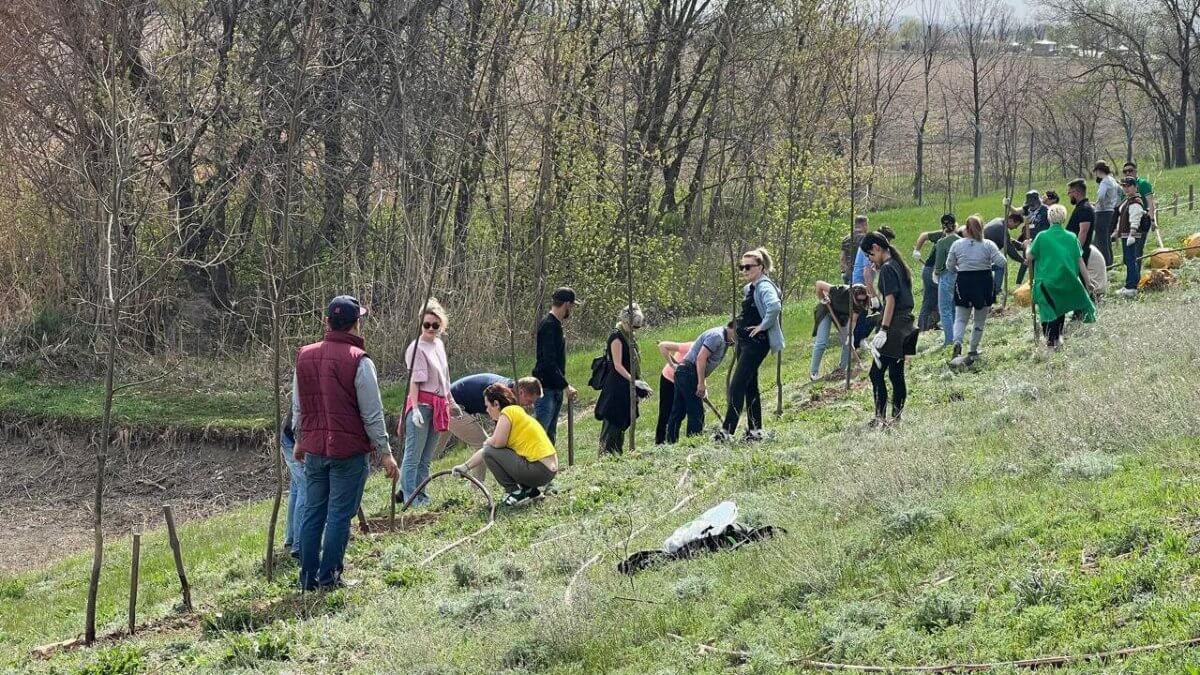 В Алматинской области прошли «Дни чистоты»