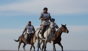 Итоги конного марафона «Ұлы дала жорығы» – Мангистауская область стала победителем