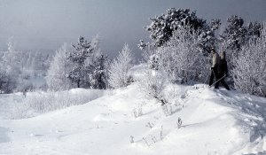 Плохая погода 10 января в 10 областях Казахстана