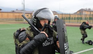 Применение оружия и физической силы военной полиции узаконил мажилис