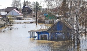 Стихийное бедствие в Туркестанской области: паводки в селе Абай