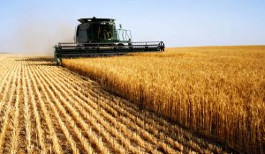 Фермерам для получения субсидий до конца года не потребуется предоставлять агрохимическую картограмму полей