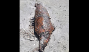 Специалисты выдвинули три версии гибели каспийского тюленя