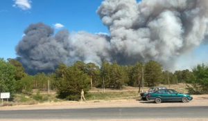 Сильный лесной пожар разгорелся в области Абай