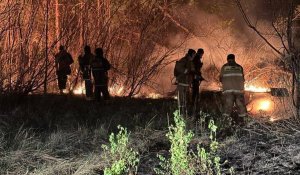 Открытые очаги пожара ликвидировали в лесу Абайской области
