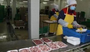 Обеспечить отечественный рынок качественным мясом птицы намерены в Жамбылской области