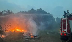 Площадь пожара в заповеднике «Семей орманы» достигла 30 000 га