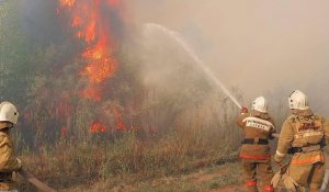 МЧС поделилось оперативной информацией по тушению пожара в области Абай