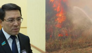 "Это большая трагедия": депутат предложил меры по предотвращению пожаров в Абайской области