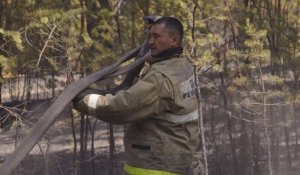 Лесной пожар в Абайской области локализован