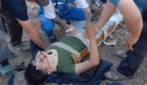 Депутат маслихата сбила двух подростков и 9 коров в Карагандинской области
