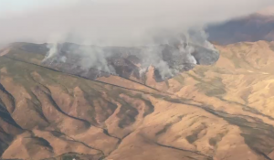 Пожар в горах Жамбылской области ликвидирован