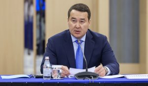 Премьер министр Алихан Смаилов высказал мнение о бытовом насилии: я сам воспитываю дочерей