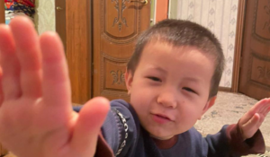 Вторые сутки ищут 4-летнего мальчика в Туркестанской области