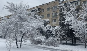 Какой будет погода 31 декабря в Алматы