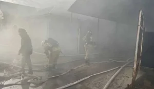 Пожар в Кокшетау: МЧС эвакуировал 60 человек, включая детей из батутного центра