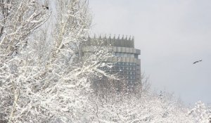 Погода Алматы на выходные – 10 и 11 февраля