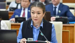 Индекс благополучия, нацфонд и закон по обеспечению прав: Омбудсмен рассказала о защите прав детей и женщин в Казахстане