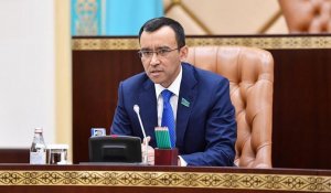 Убийство Салтанат Нукеновой изменило казахстанское общество, заявил спикер Сената