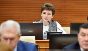 Депутат Смышляева: почему никто не задается вопросом сколько стоит потерянная жизнь в ДТП