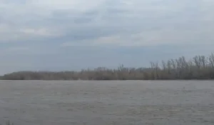 Уровень реки Урал превысил критическую отметку