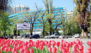 Погода в Алматы с 6 по 12 мая 2024 года