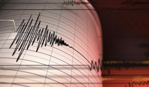Новое землетрясение в 4,6 балла зафиксировали сейсмологи Алматы