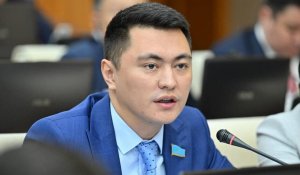 «Вы виноваты в такой статистике, требуя миллионы за указ»: депутата Мукаева раскритиковали в соцсетях