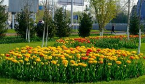 Погода в Алматы с 20 по 26 мая 2024 года