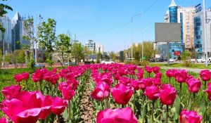 Погода Алматы на выходные – 25 и 26 мая