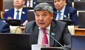 Депутат Ашимжанов просит поддержать идею о создании новых культурных центров в Китае и Казахстане