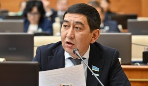 «За ними 50 тысяч человек»: депутат Ринат Заитов призвал власти не проявлять равнодушие к петиции против утильсбора