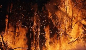Казахстанские туристы устроили масштабный лесной пожар на острове в Греции