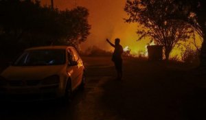Туристов из Казахстана обвинили в лесном пожаре в Греции – МИД РК сообщил подробности