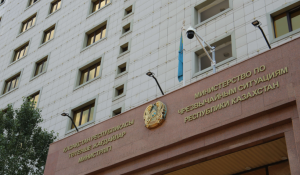 В Казахстане появилcя новый комитет