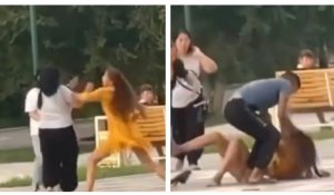 Пинались и хватали за волосы: дерущиеся в Кызылорде девушки попали на видео
