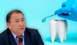 Непосильное удовольствие: депутат высказался против запрета лечения зубов на пенсионные накопления